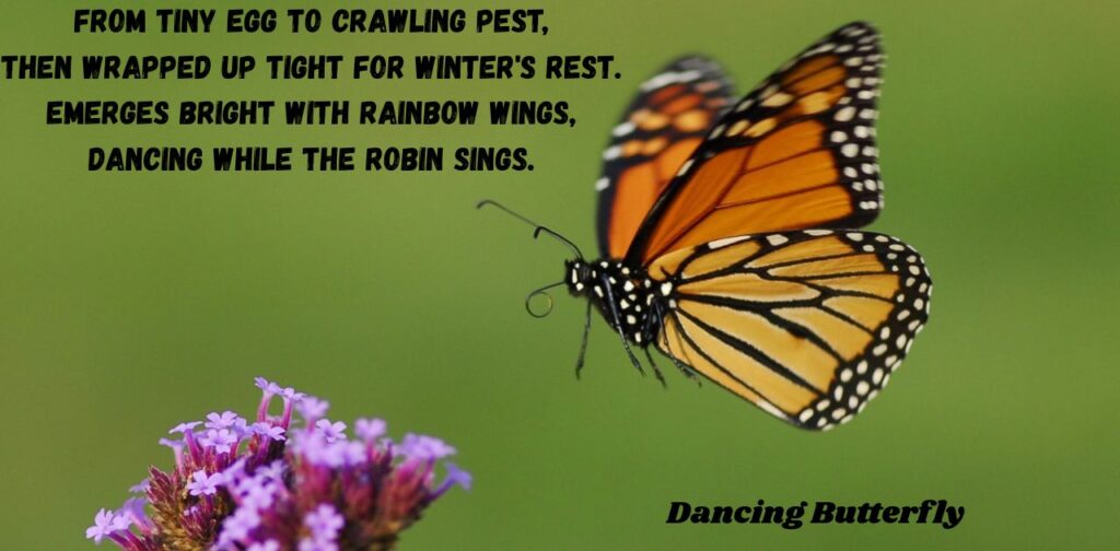 poems-about-animals-that-rhyme-dancing-butterfly