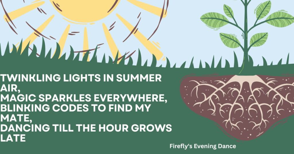 poems-for-class-3-on-nature-fireflys-evening-dance