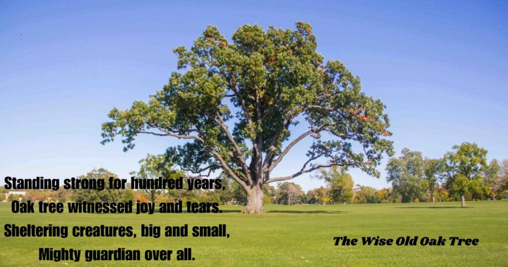 poems-for-class-3-on-nature-the-wise-old-oak-tree