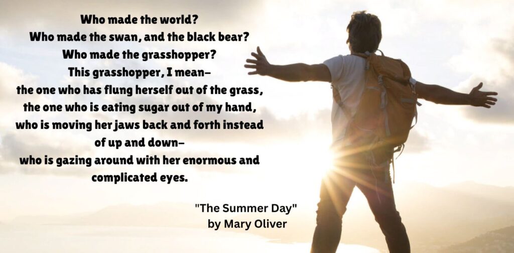 self-love-poems-by-poets-the-summer-day