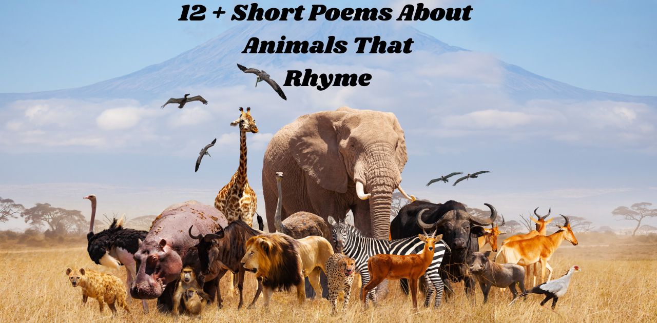 short-poems-about-animals-that-rhyme