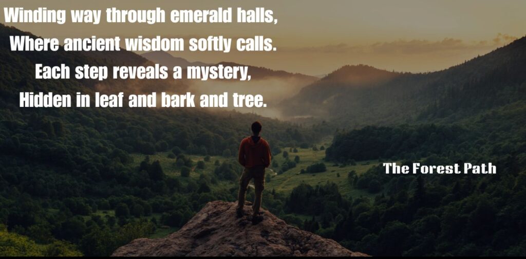 short-poems-by-ruskin-bond-the-forest-path