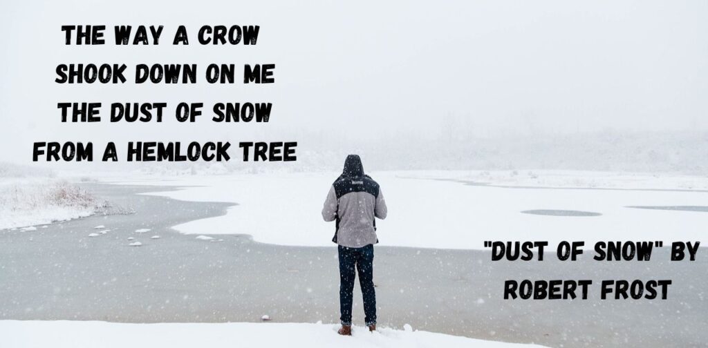 summary-of-20-poems-class-10-dust-of-snow