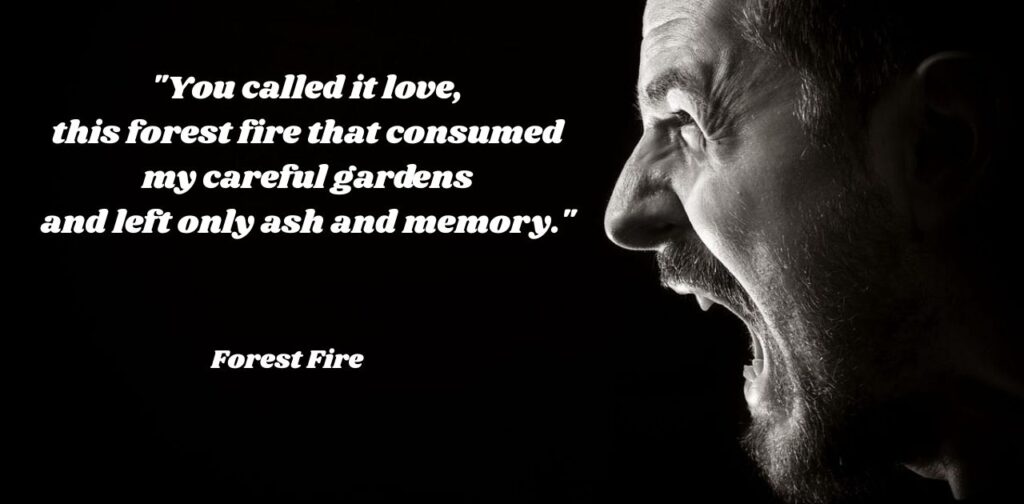 the-old-playhouse-and-other-poems-forest-fire