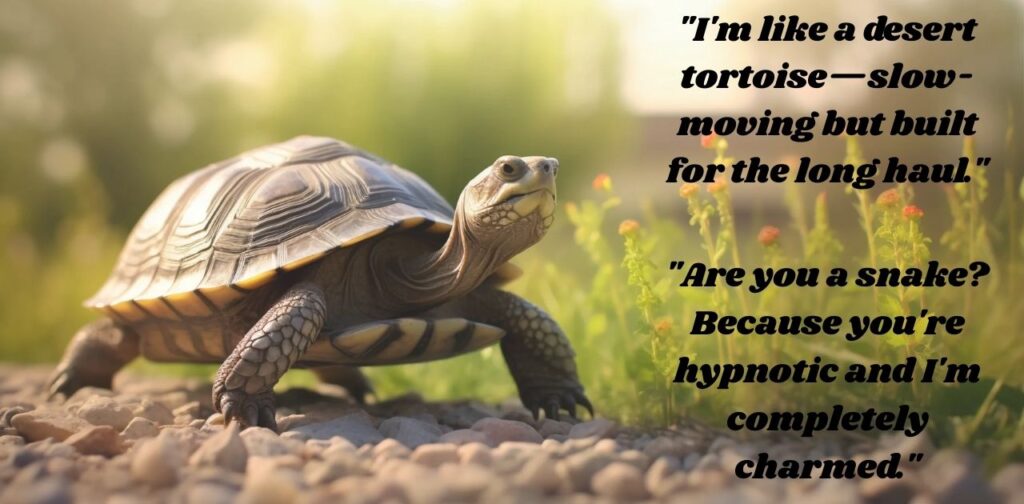 animal-rizz-lines-reptile