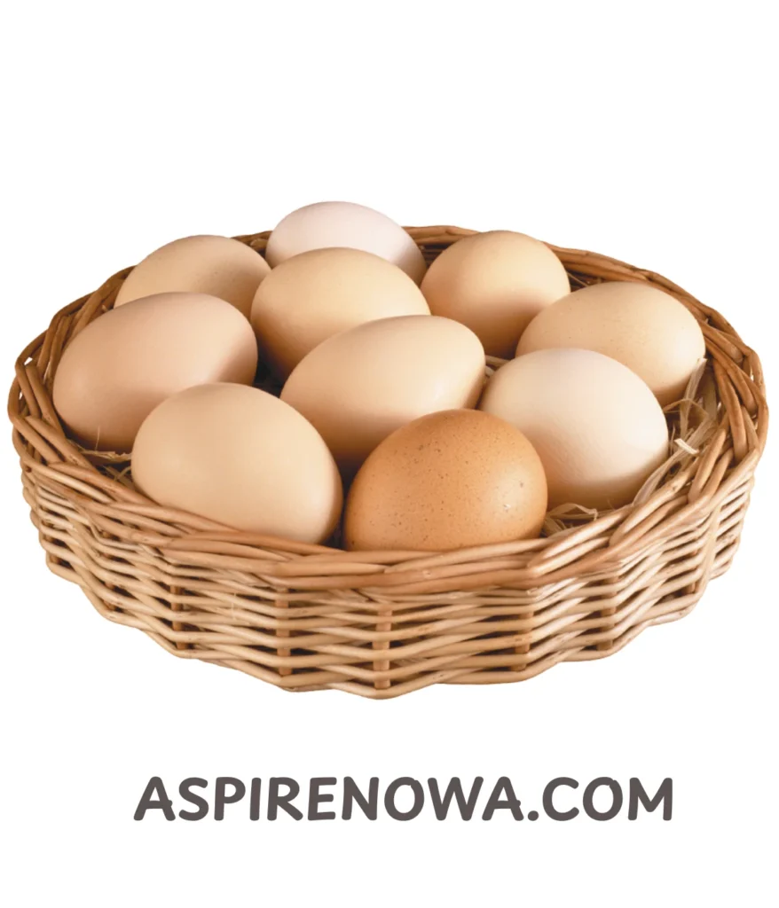 chicken-eggs-weigh-100-grams